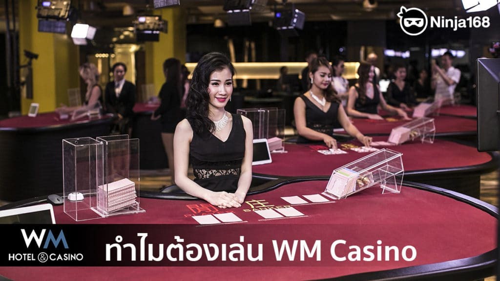 ห้ามพลาด! สูตรชนะใน WM Casino 787 เผยความลับ